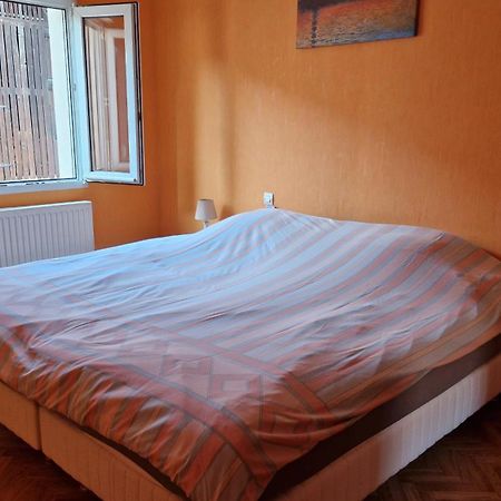 Appartement Le Grillenbreit Colmar Exteriör bild